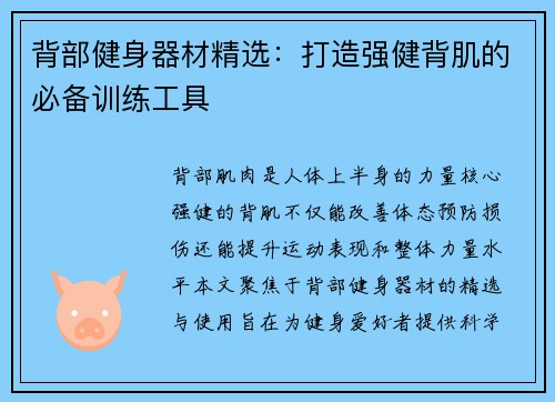 背部健身器材精选：打造强健背肌的必备训练工具